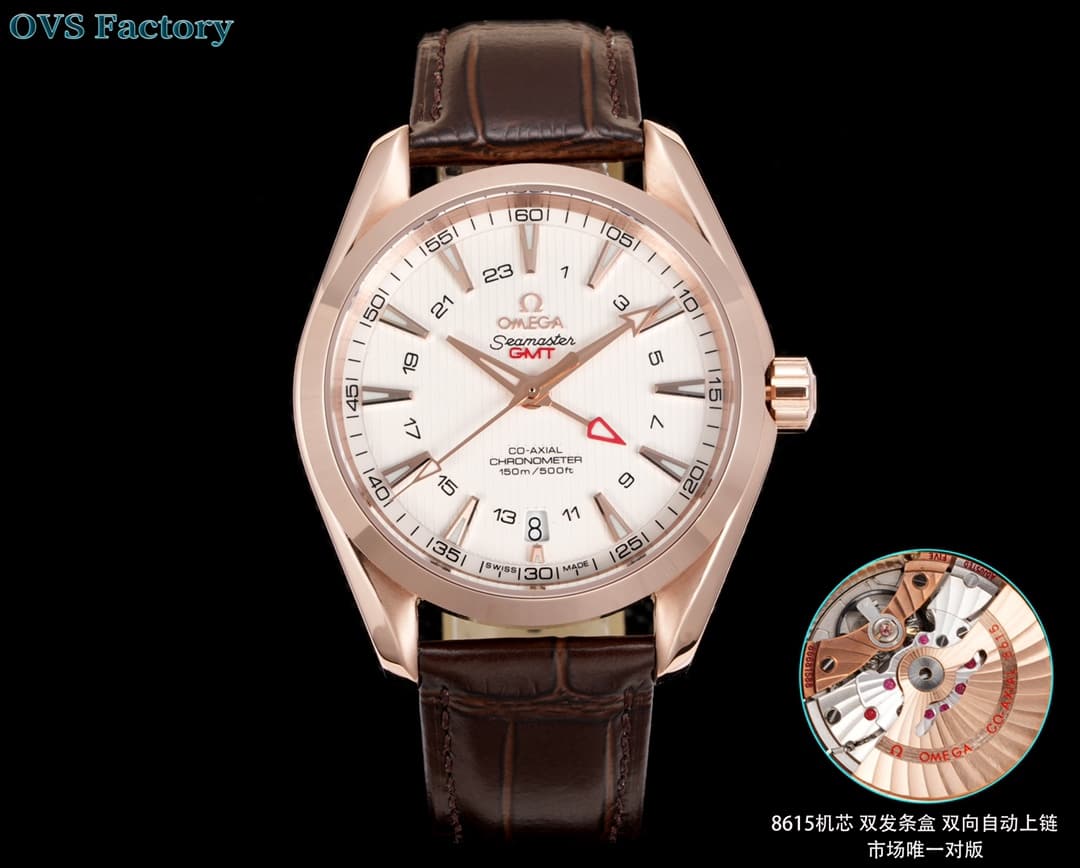 Omega Omega OVS Factory's Top Pick: Omega Seamaster Aqua Ter