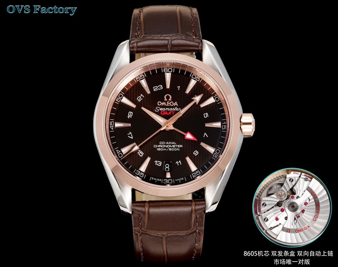 Omega Omega OVS Factory's Top Pick: Omega Seamaster Aqua Ter