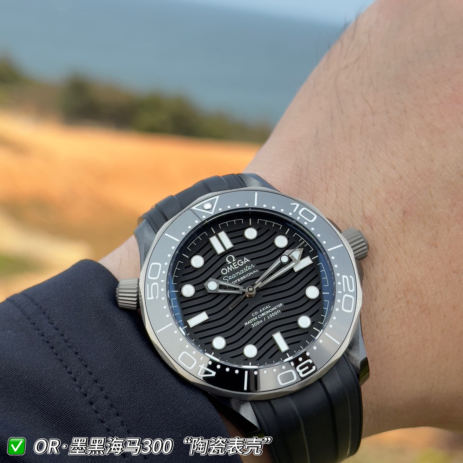 Omega Omega Jet-Black Seahorse