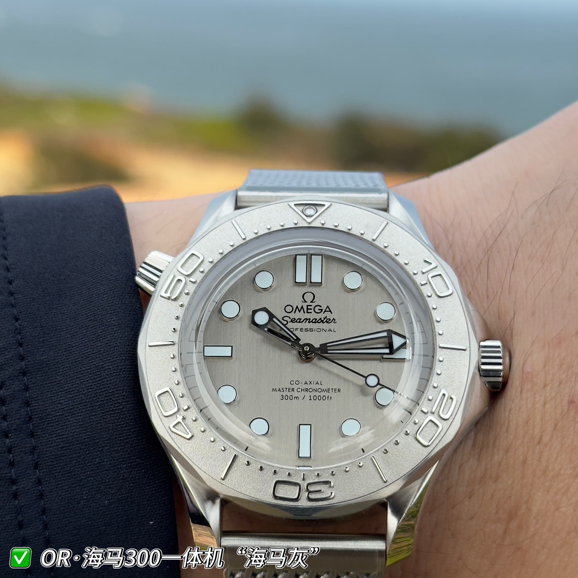 Omega Omega 007 Special Edition Seahorse Gray—OR Factory Offers You a Better Choice