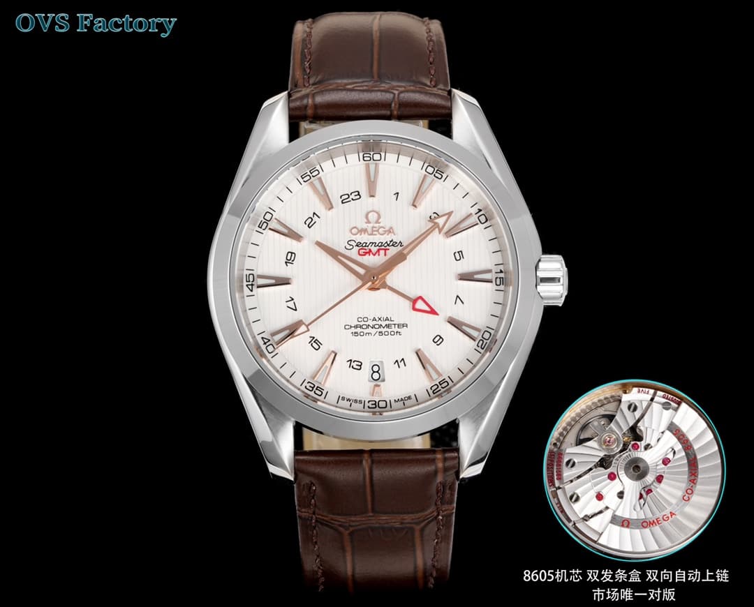 Omega Omega OVS Factory's Top Pick: Omega Seamaster Aqua Ter