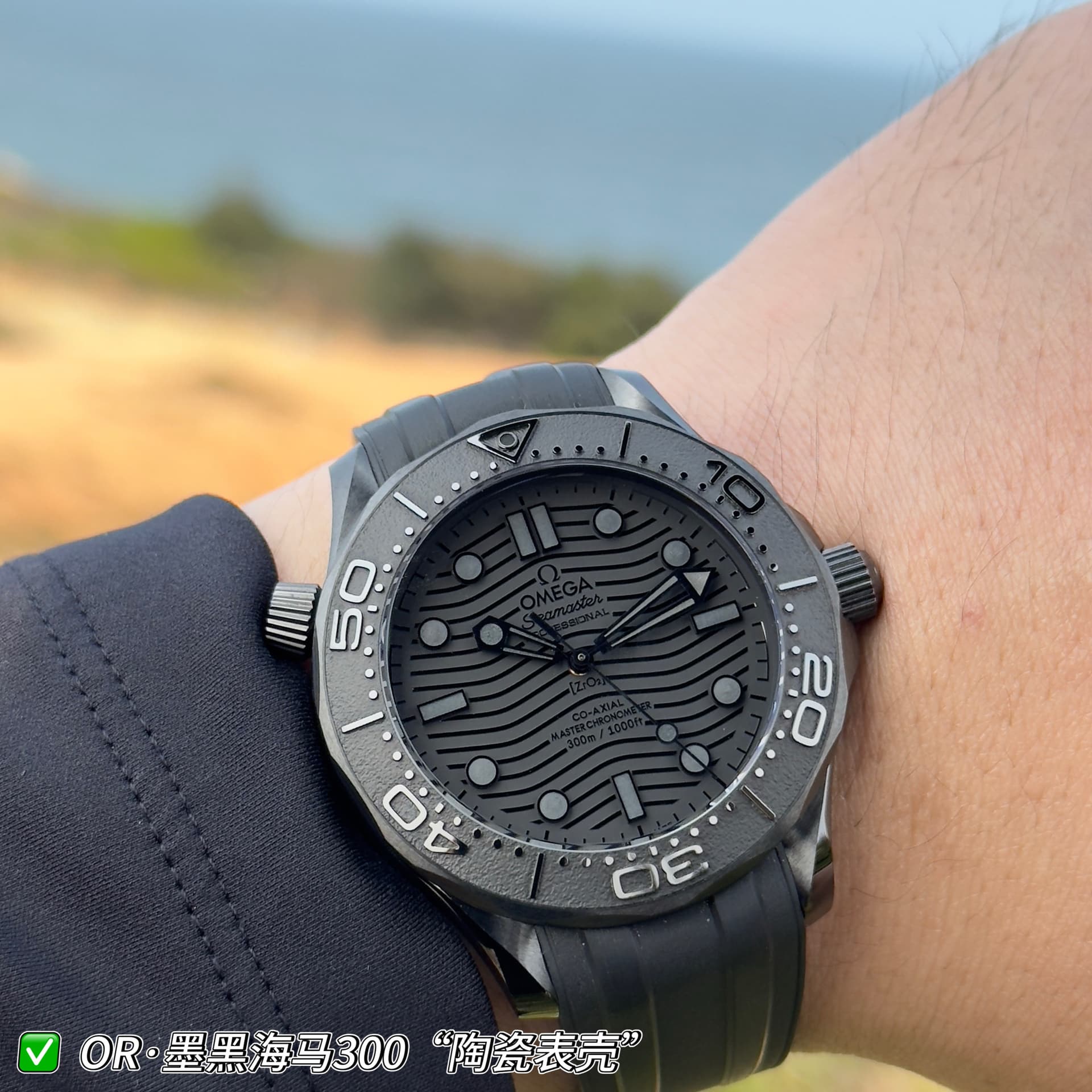 Omega Omega Jet-Black Seahorse