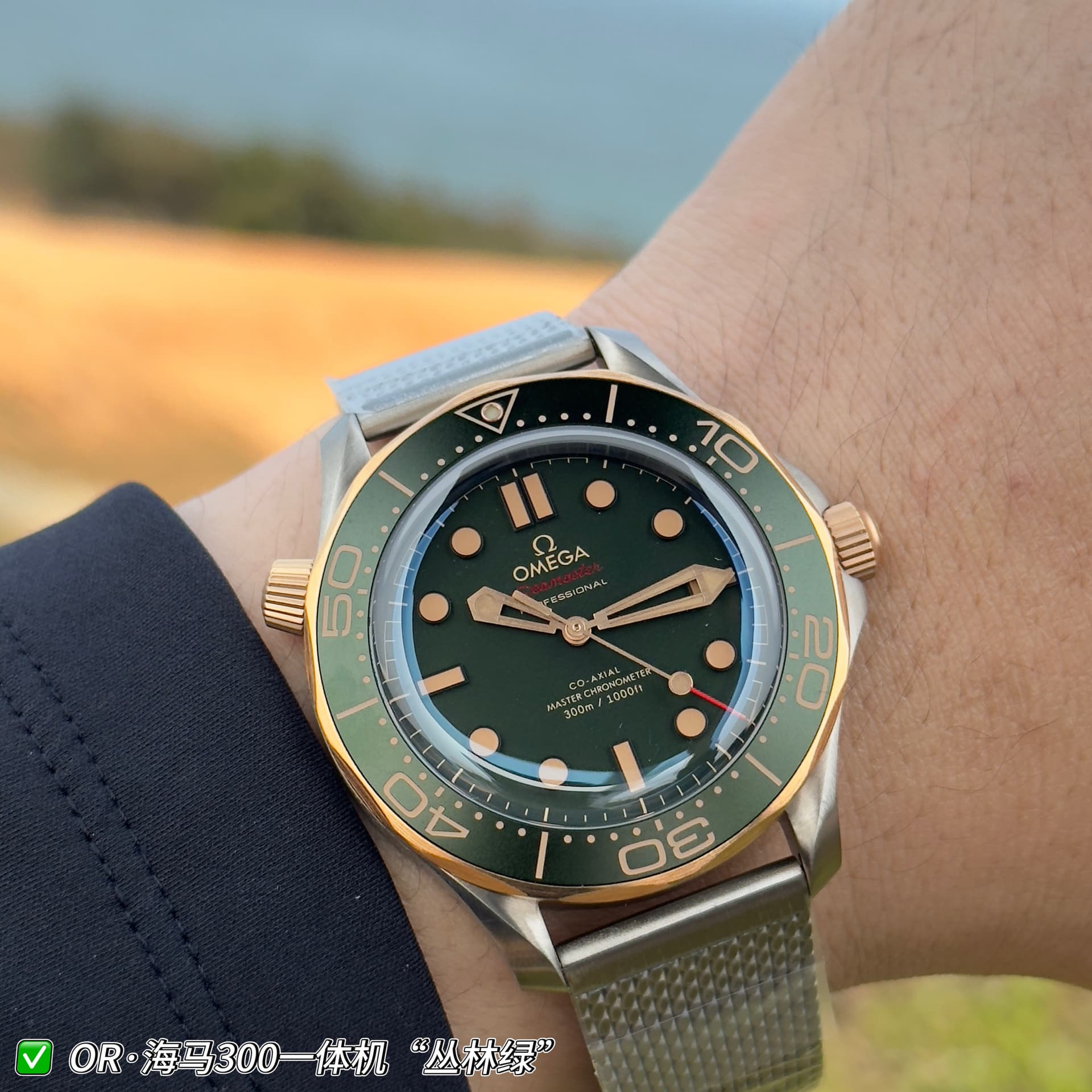 Omega Omega 007 Agent Edition Jungle Green—OR Factory Offers You a Better Choice