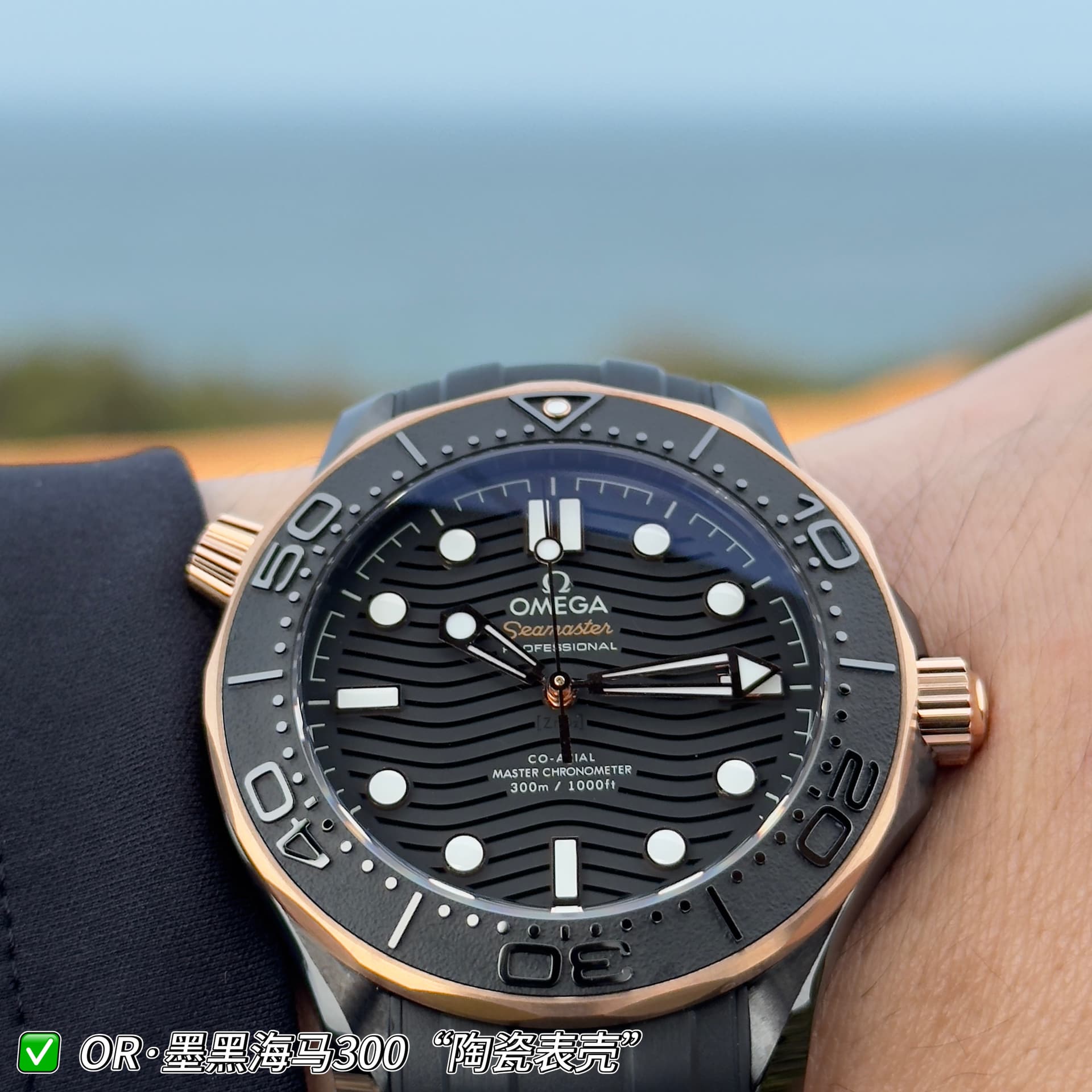 Omega Omega Jet-Black Seahorse