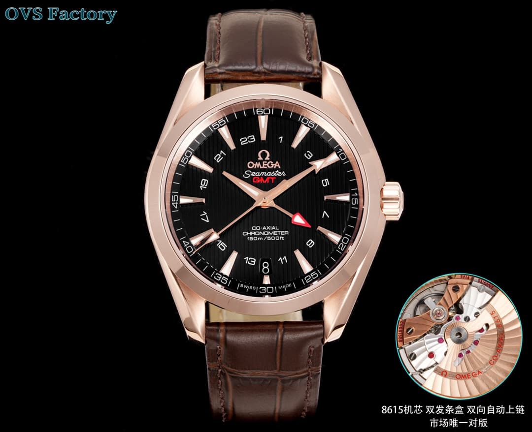 Omega Omega OVS Factory's Top Recommendation: Omega Seamaster Aqua Ter