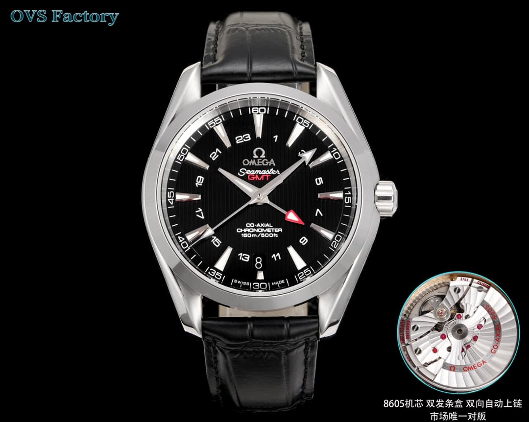 Omega Omega OVS Factory's Top Pick: Omega Seamaster Aqua Ter